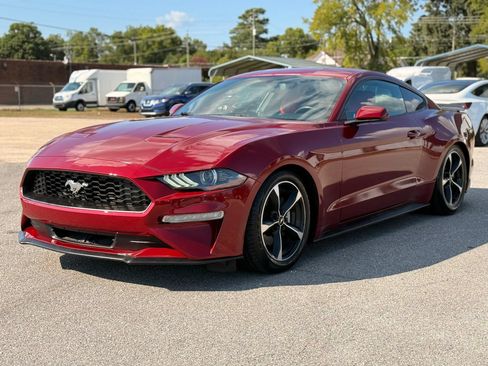 Used 2019 Ford Mustang Coupe w/ Equipment Group 101A RWD image 5