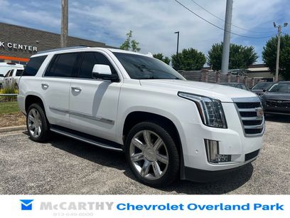 Used 2019 Cadillac Escalade Luxury