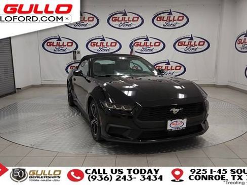 Used 2024 Ford Mustang Premium image 4