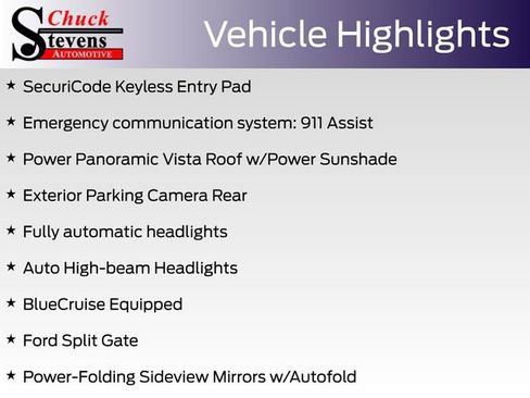 New 2025 Ford Expedition Active image 39