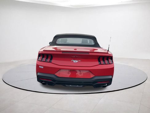 Used 2025 Ford Mustang Premium RWD image 5