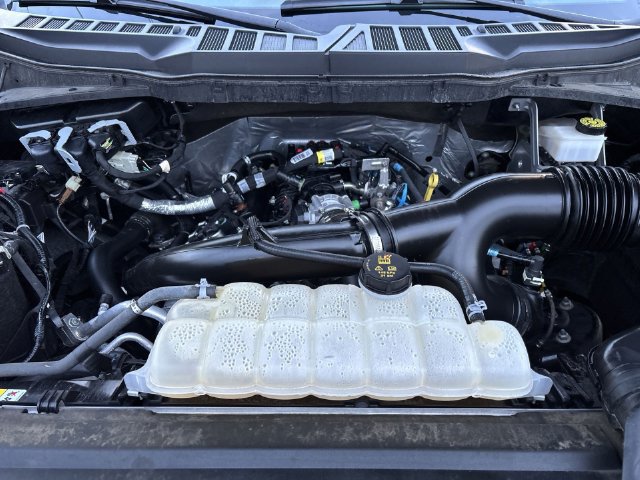 Used 2024 Ford F150 STX RWD image 34