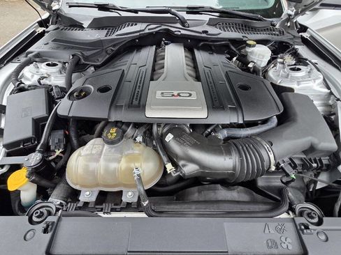 Used 2019 Ford Mustang GT w/ Equipment Group 301A image 13