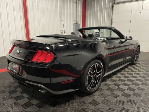 Used 2019 Ford Mustang Premium image 3