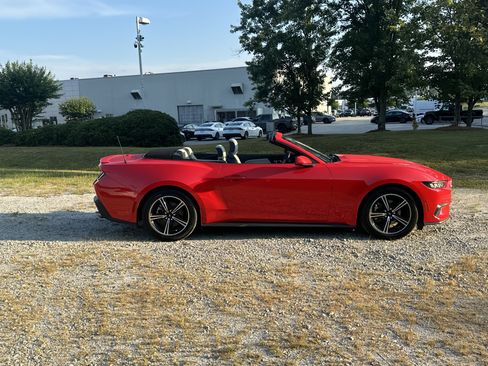 Used 2025 Ford Mustang Premium RWD image 4