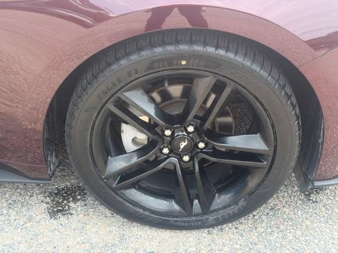 Used 2018 Ford Mustang Premium w/ Equipment Group 201A RWD image 15