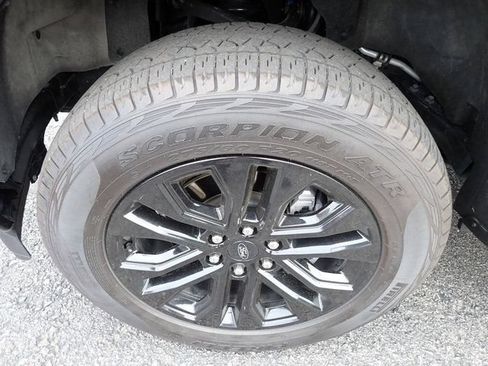 Used 2025 Ford F150 XLT w/ Equipment Group 303A High AWD/4WD image 12