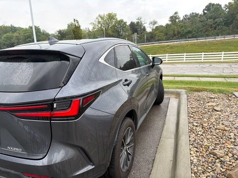 Used 2025 Lexus NX 250 FWD w/ Accessory Package (2T) image 6