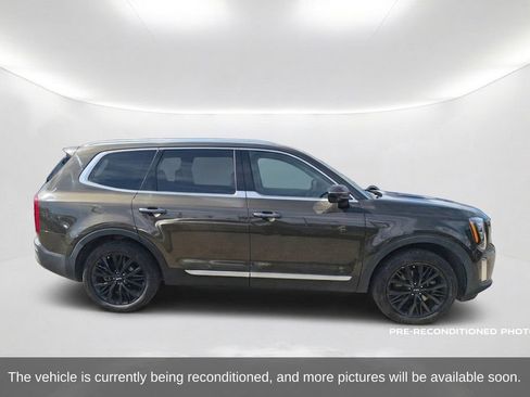 Used 2022 Kia Telluride SX FWD image 4