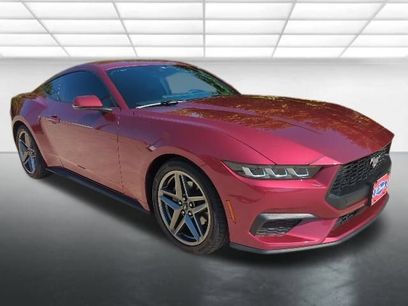 Used 2025 Ford Mustang Premium