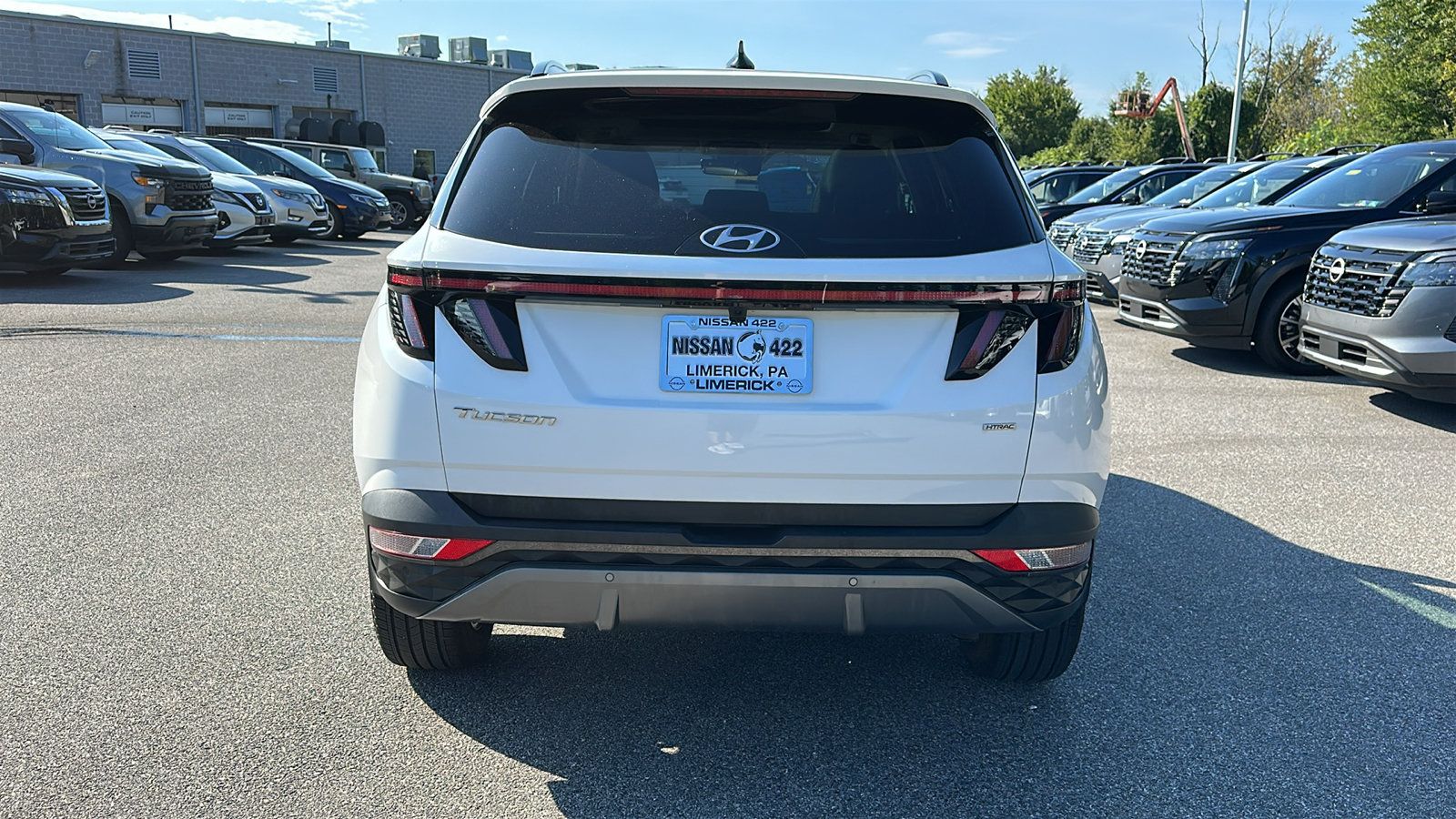 Used 2024 Hyundai Tucson Limited AWD/4WD image 6