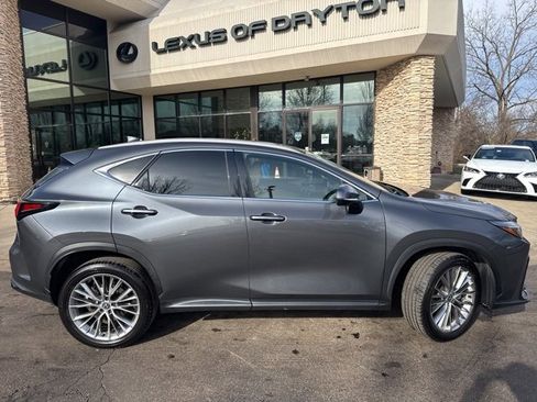 Used 2025 Lexus NX 350h AWD w/ Premium Package image 2