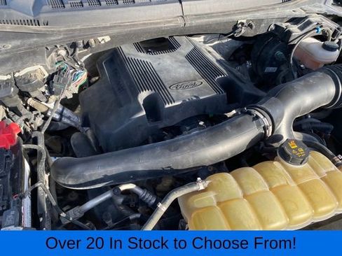 Used 2019 Ford F150 XLT w/ Equipment Group 302A Luxury AWD/4WD image 21