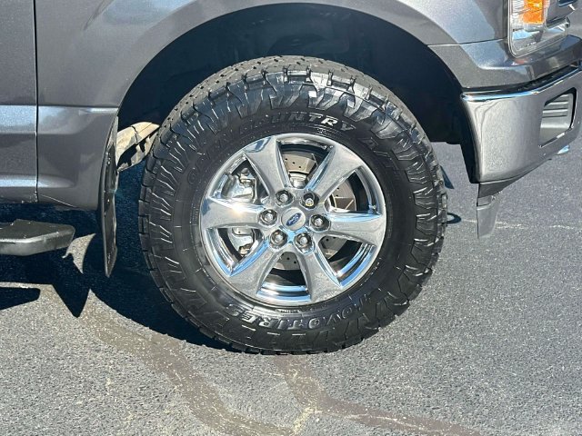 Used 2019 Ford F150 XLT w/ Equipment Group 302A Luxury AWD/4WD image 8