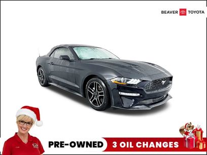Used 2019 Ford Mustang Premium