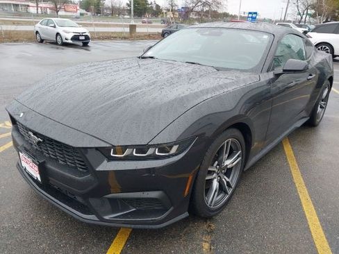 Certified 2024 Ford Mustang Premium image 4