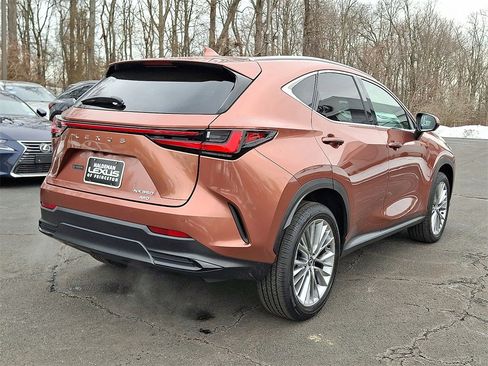 Used 2025 Lexus NX 350 AWD w/ Premium Package image 6