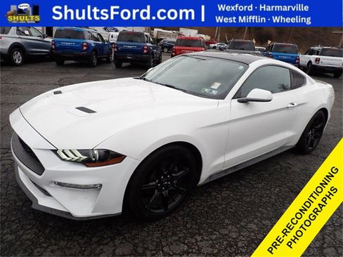 Used 2020 Ford Mustang EcoBoost w/ Equipment Group 101A image 1