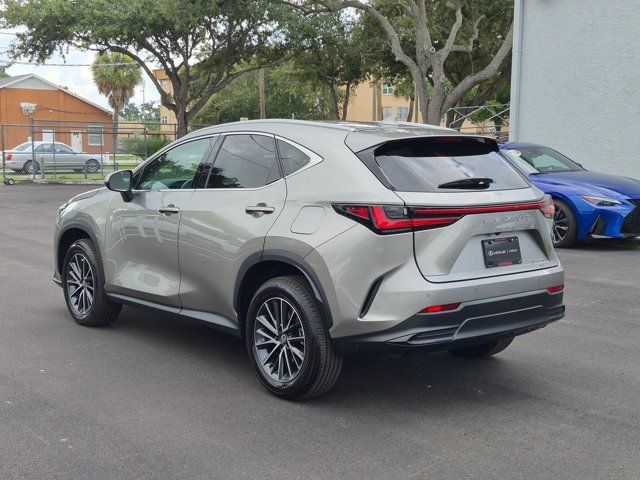 Certified 2026 Lexus NX 350 AWD w/ Cold Area Package image 8