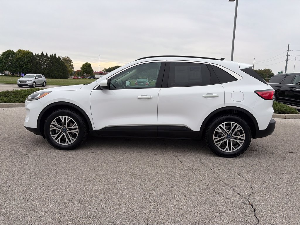 Used 2020 Ford Escape SEL AWD/4WD image 4