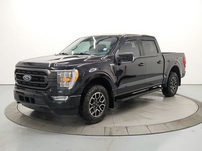 Used 2023 Ford F150 XLT w/ Equipment Group 302A High