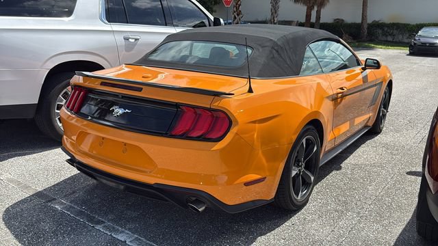 Used 2019 Ford Mustang Convertible RWD image 6