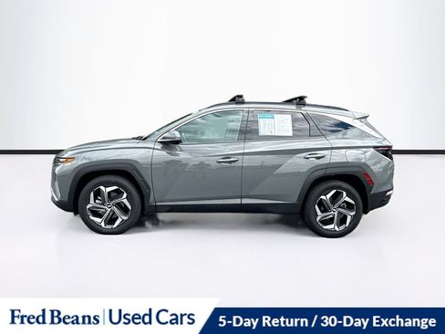 Used 2024 Hyundai Tucson Limited AWD/4WD image 5