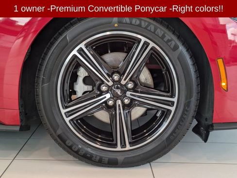 Used 2024 Ford Mustang Premium RWD image 11