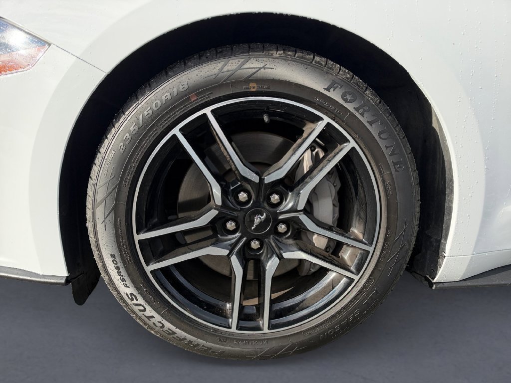 Used 2019 Ford Mustang GT Premium RWD image 11
