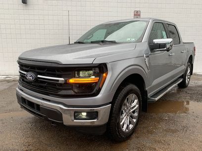 New 2024 Ford F150 XLT w/ Equipment Group 303A High