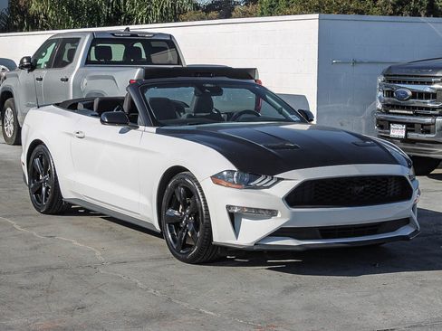 Used 2021 Ford Mustang EcoBoost w/ Equipment Group 101A image 13