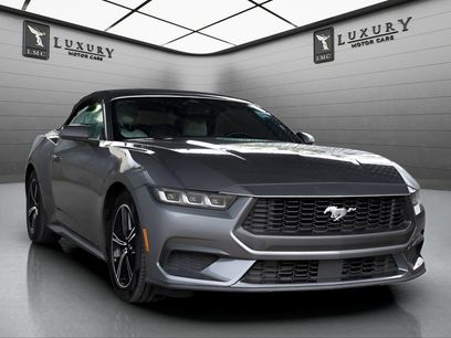Used 2024 Ford Mustang Premium