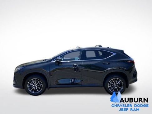 Used 2025 Lexus NX 350h AWD w/ Cold Area Package image 4