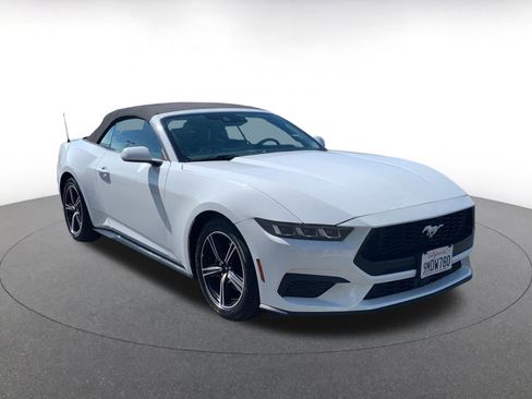 Used 2024 Ford Mustang Premium image 1
