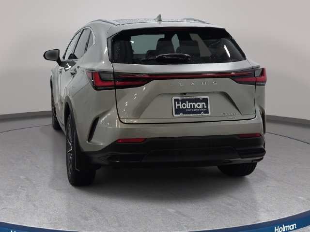 Used 2024 Lexus NX 350 AWD w/ Cold Area Package image 7