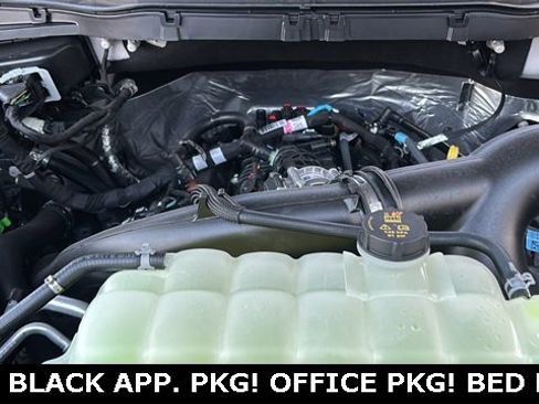 New 2025 Ford F150 XLT w/ Equipment Group 302A MID image 28