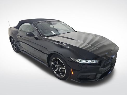 Used 2024 Ford Mustang Premium image 6