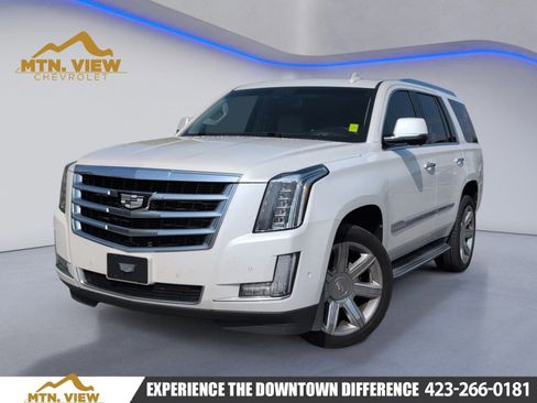 Used 2017 Cadillac Escalade Luxury AWD/4WD image 1