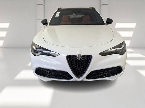 New 2025 Alfa Romeo Stelvio Sprint w/ Convenience Package image 3