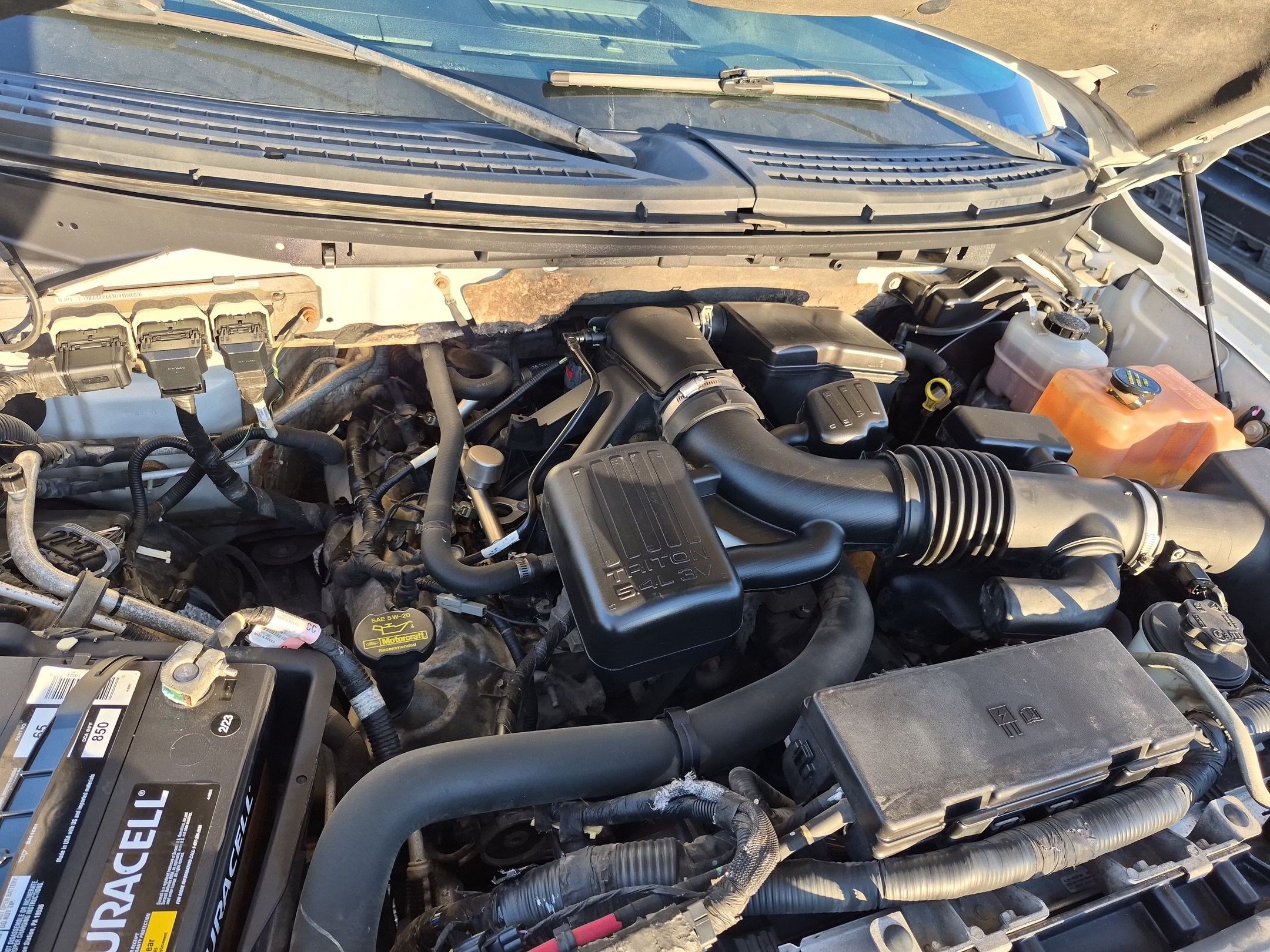 Used 2010 Ford F150 XLT AWD/4WD image 30