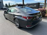 Certified 2022 Lexus ES 250 w/ Premium Package image 3