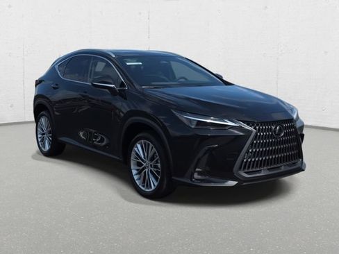 Certified 2025 Lexus NX 350h AWD w/ Cold Area Package image 3