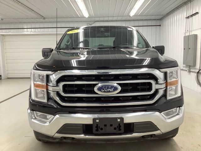 Used 2023 Ford F150 XLT w/ Equipment Group 301A Mid AWD/4WD image 2