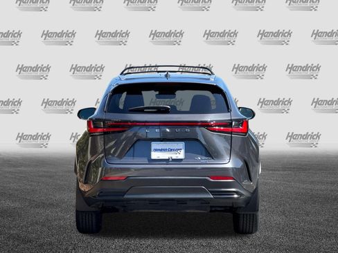 Certified 2025 Lexus NX 350h AWD w/ Cold Area Package image 6
