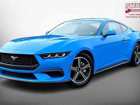 Used 2024 Ford Mustang Premium image 3