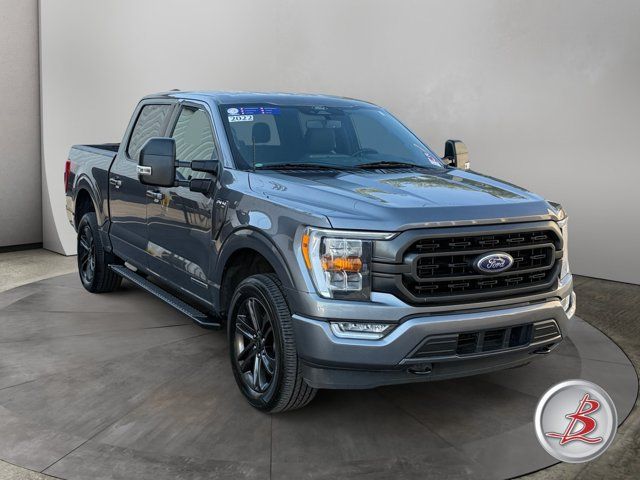 Used 2022 Ford F150 XLT w/ Equipment Group 302A High AWD/4WD image 1