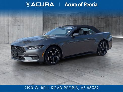 Used 2024 Ford Mustang Premium image 1