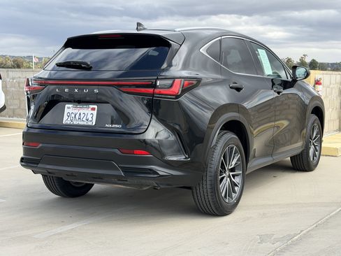 Certified 2024 Lexus NX 250 FWD image 10