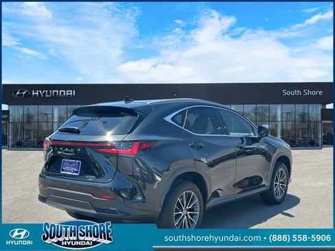 Used 2024 Lexus NX 350 AWD w/ Cold Area Package image 6