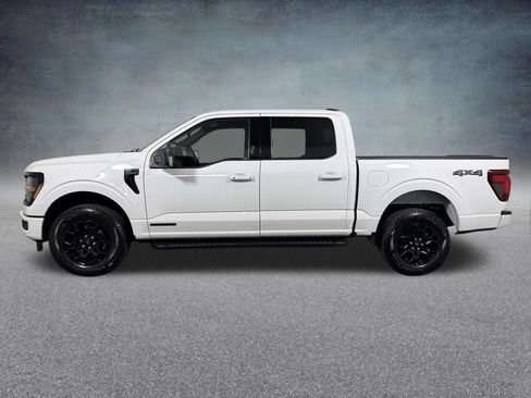 Used 2024 Ford F150 XLT w/ Equipment Group 302A MID AWD/4WD image 3